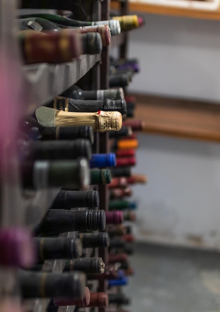 Wine cellar with bottles of wine