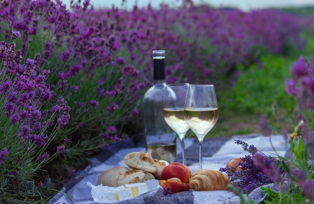 Wine fruits berries cheese glasses picnic in lavender field Selective focus