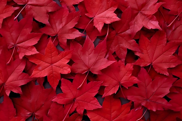 Wine red autumn leaves texture fall nature background AI Generative