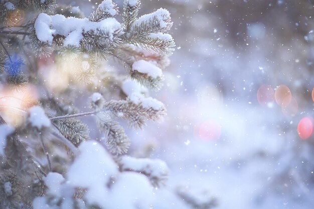 winter background snowfall trees abstract blurred white