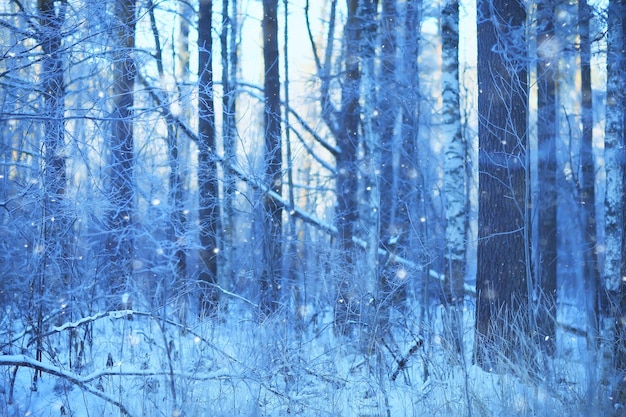 winter background snowfall trees abstract blurred white