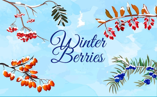 Winter Berries Card