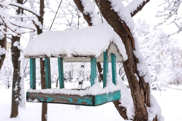 Winter bird feeder on tree winter snow