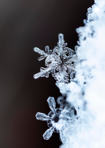 winter card, crystals of snow, winter photo