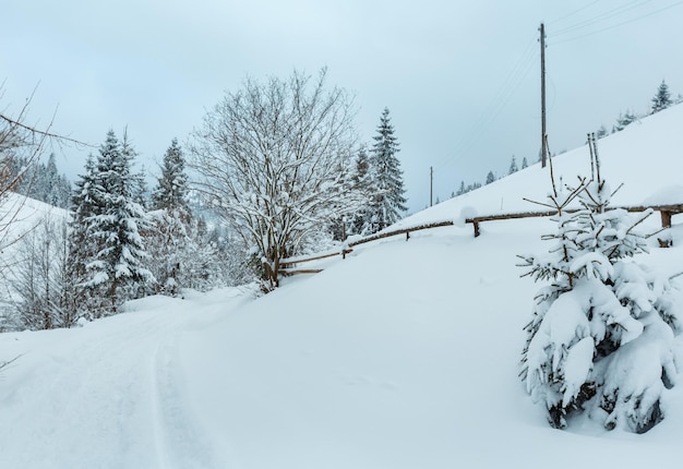 Winter Carpathian Mountains landscape