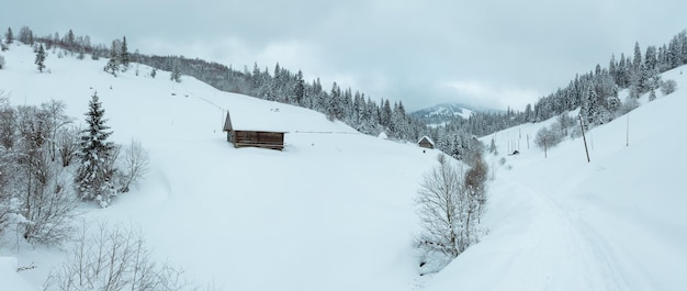 Winter Carpathian Mountains landscape