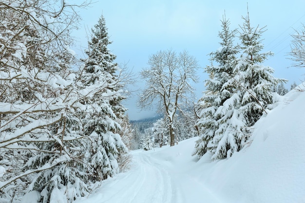 Winter Carpathian Mountains landscape