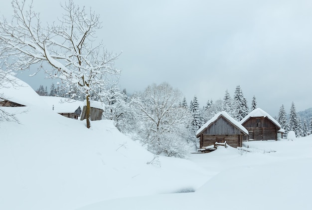 Winter Carpathian village