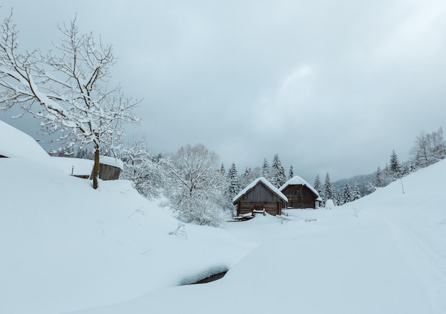 Winter Carpathian village