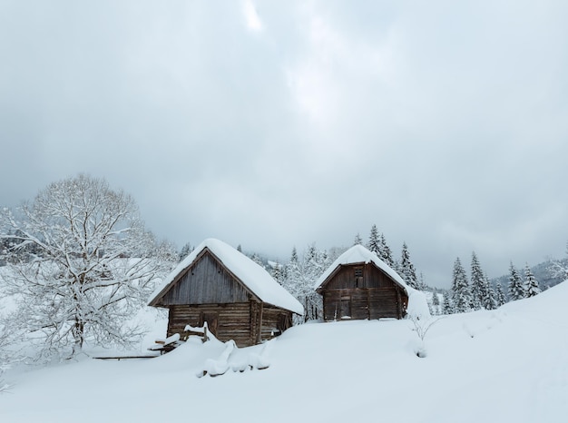 Winter Carpathian village