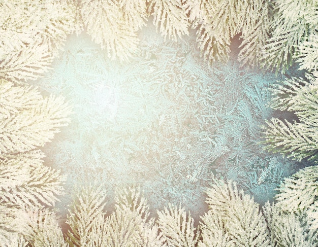 Winter Christmas background with green Xmas tree branch border and frost on frozen winter window