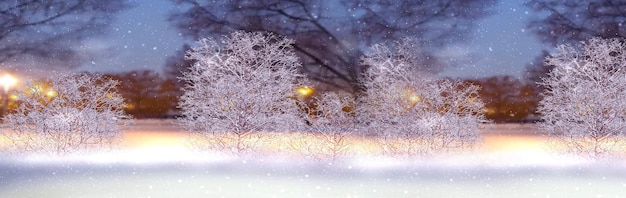 Winter  city park trees covered by snow ,soft evening street lantern warm  light snowflakes