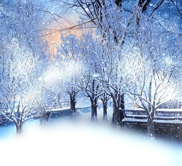 winter city snowy  evening in  park trees covered by snow nature landscape 3 d illustration