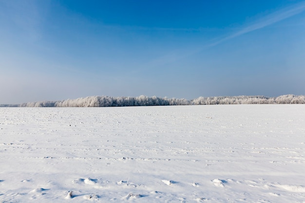 Winter cold weather after the snowfall, snow drifts in winter, deep snow drifts after the last snowfall