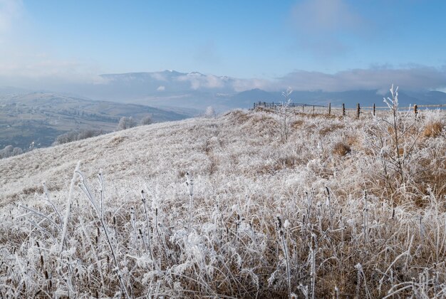 Winter coming Picturesque moody morning scene in late autumn mountain countryside with hoarfrost on grasses trees slopes Ukraine Carpathian Mountains