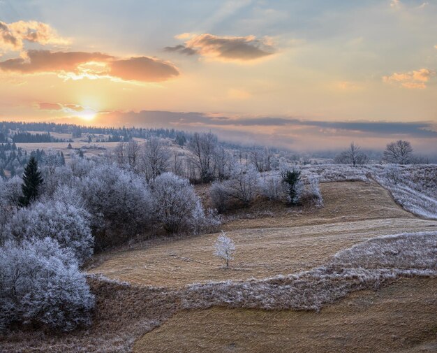 Winter coming Picturesque pre sunrise scene above late autumn mountain countryside with hoarfrost on grasses trees slopes Peaceful sunlight rays from cloudy sky Ukraine Carpathian Mountains