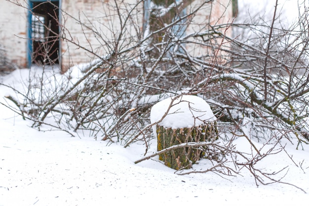 Winter countryside landscape, dilapidated abandoned ruined building covered in snow.