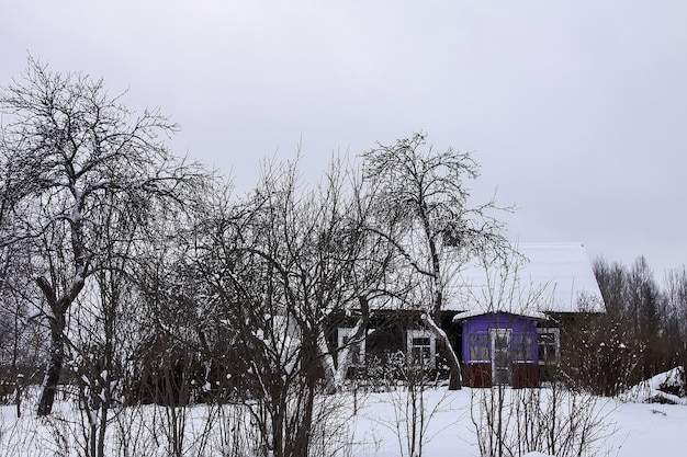 Winter day in Latvia Europe Scenic nature view