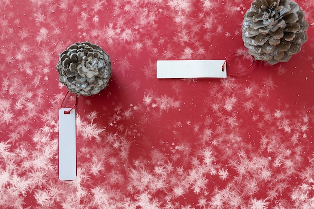 Winter decoration Two pine cones with labels on snowy red background