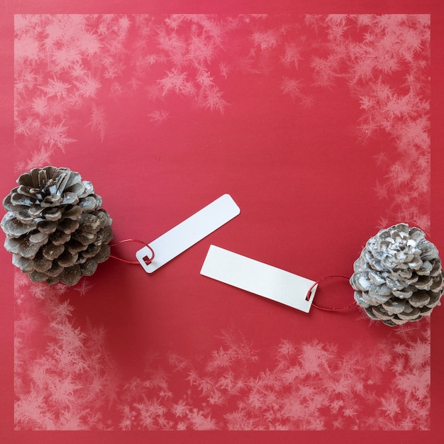 Winter decoration Two pine cones with labels on snowy red background