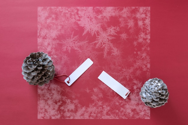 Winter decoration Two pine cones with labels on snowy red background