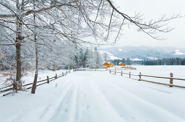 Winter dull country mountain landscape with  fence and firs forest