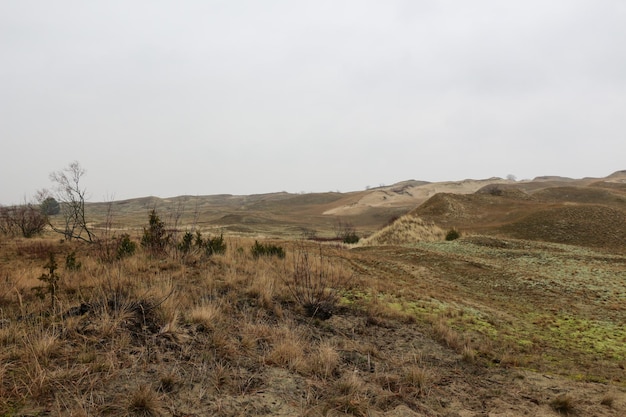 Winter Dunes of Baltic Sea Coastline