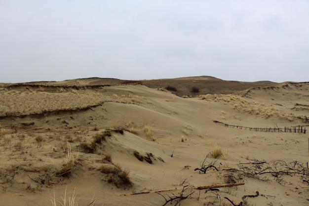 Winter Dunes of Baltic Sea Coastline