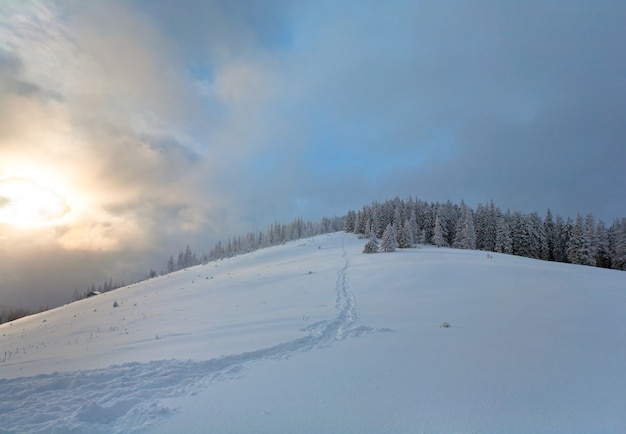 Winter evening  calm mountain landscape with fir trees  on slope