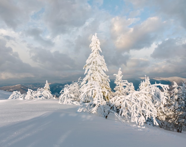 Winter evening mountain snowy landscape