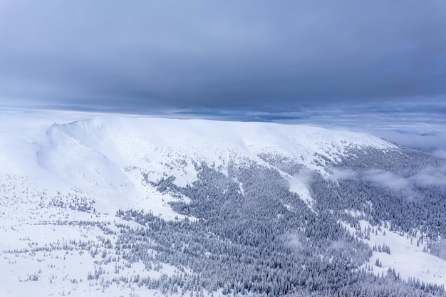 Winter Forest clouds Landscape aerial view trees background Travel serene scenery