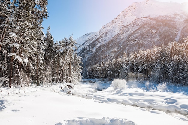 Winter forest and mountain river at sunny day. Beautiful winter landscape.