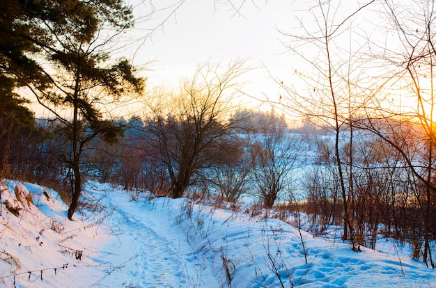 Winter forest and a river covered in snow at sunset