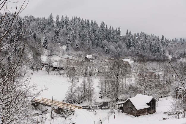 Winter forest and river in mountain region Winter vacations