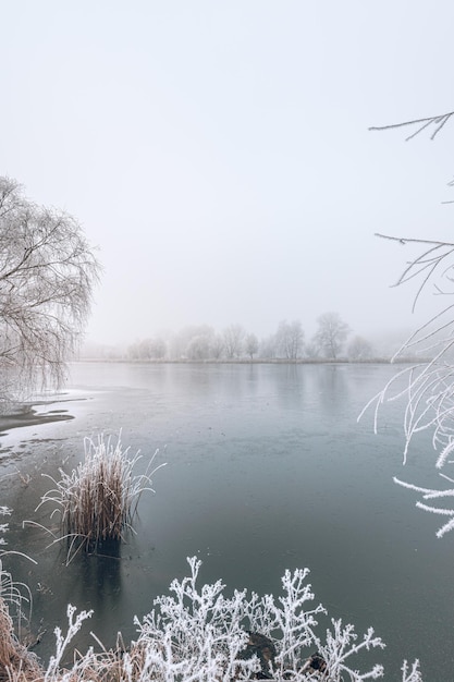 Winter forest on the river at sunset Panoramic landscape with snowy trees beautiful frozen nature