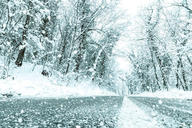 Winter forest snow road. Forest road winter snow view.