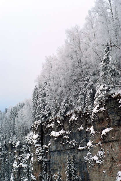 Winter forest on a steep snow-covered cliff in the background of a cloudy sky