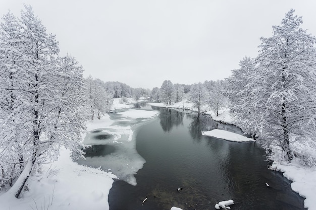 Winter forest, trees in the snow, beautiful snowy view, cold river