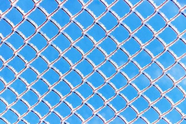 Winter a grid of fence covered with hoarfrost a frosty winter day