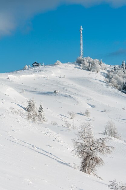 Winter hoar frosting trees tower and snowdrifts Carpathian mountain Ukraine