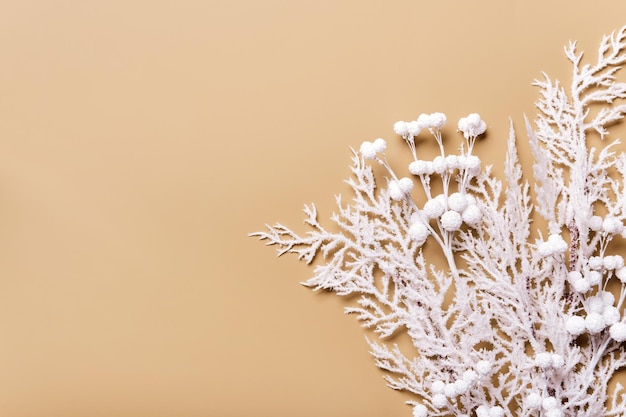 Winter holiday background in neutral colors White frost branch with berry and white frame copy space