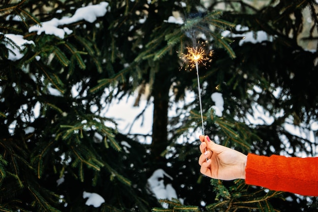 Winter holidays background female hands with sparkler against christmas trees with snow background