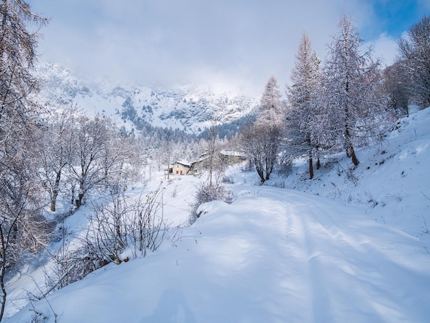 Winter in the italian Alps Beautiful view of idyllic village in snowy forest and snowcapped mountain peaks Piedmont Italy