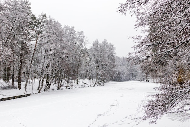 Winter lake covered with ice and snow