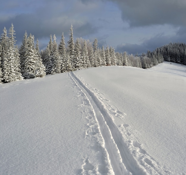 Winter landscape in the Carpathian mountains