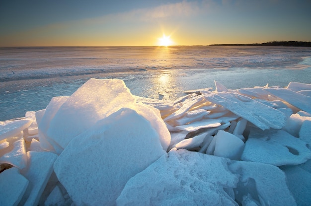 Winter landscape. Composition of nature.