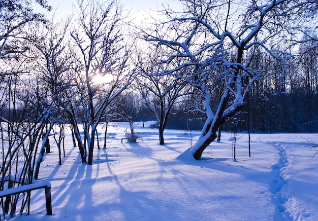 Winter landscape in the countryside Latvia East Europe