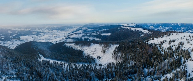 Winter landscape in fog with snow and branches covered with hoarfrost and frozen snow High quality photo