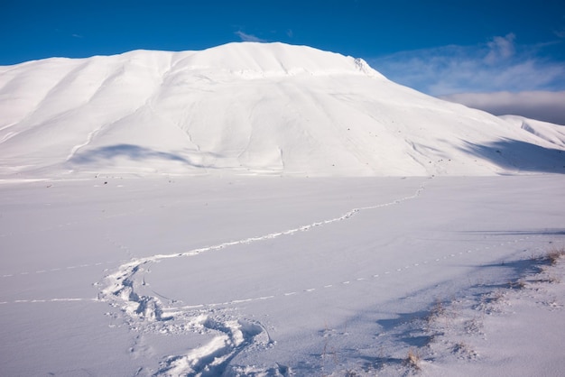 Winter landscape footprints path and fence on snow valley in bright sunny day