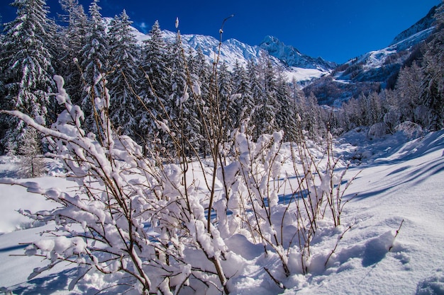 Winter landscape in the french alps